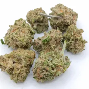 Maui Wowie AA | Legendary Hawaiian Sativa with Tropical Flavour