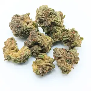 Blue Dream Haze AA | Sativa-Dominant Hybrid with Uplifting Berry Flavour