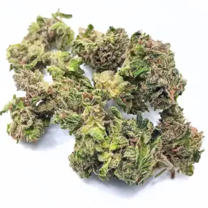Pink Bubba AA | High-THC Indica with Floral & Pine Flavour