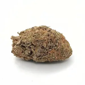 Girl Scout Cookies AA | Potent Indica-Dominant Hybrid Strain