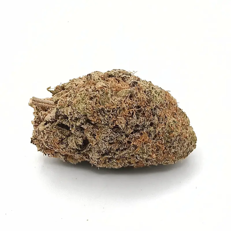 Buy Girl Scout Cookies AA Weed in Canada 1 Girl Scout Cookies AA | Potent Indica-Dominant Hybrid Strain