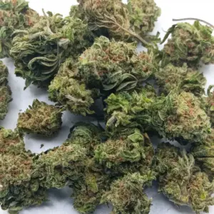 Acapulco Gold AA