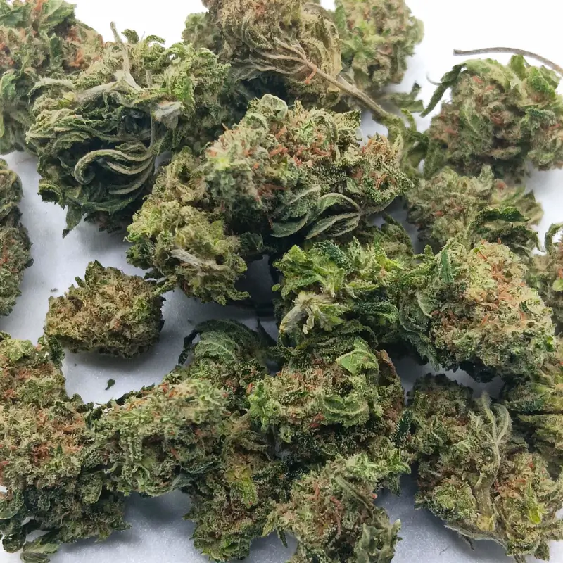 Alcapulco Gold 1 Acapulco Gold AA
