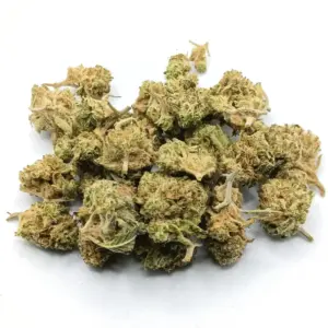 Gorilla Bomb AA | High THC hybrid cannabis