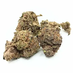 Pink Tuna AAA