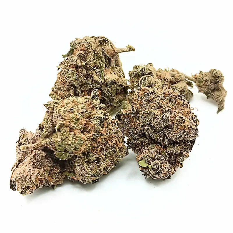 pink tuna 1 Pink Tuna AAA