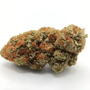 9 Pound Hammer AA | Heavy-Hitting Indica with Grape & Berry Flavour
