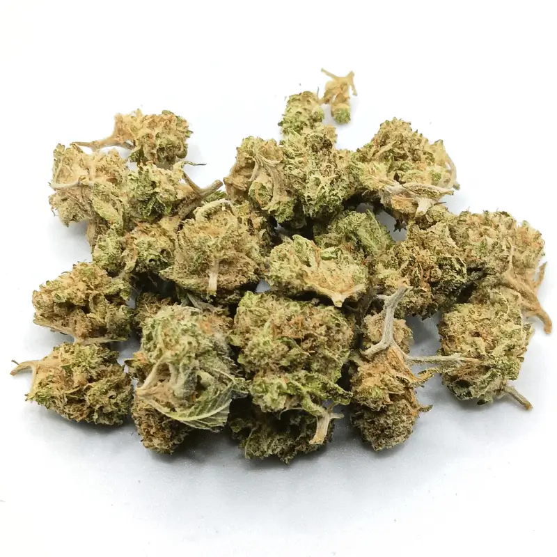 Gorilla Bomb Strain 1 Gorilla Bomb AA hybrid cannabis strain