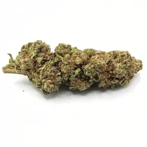 Mimosa AAA