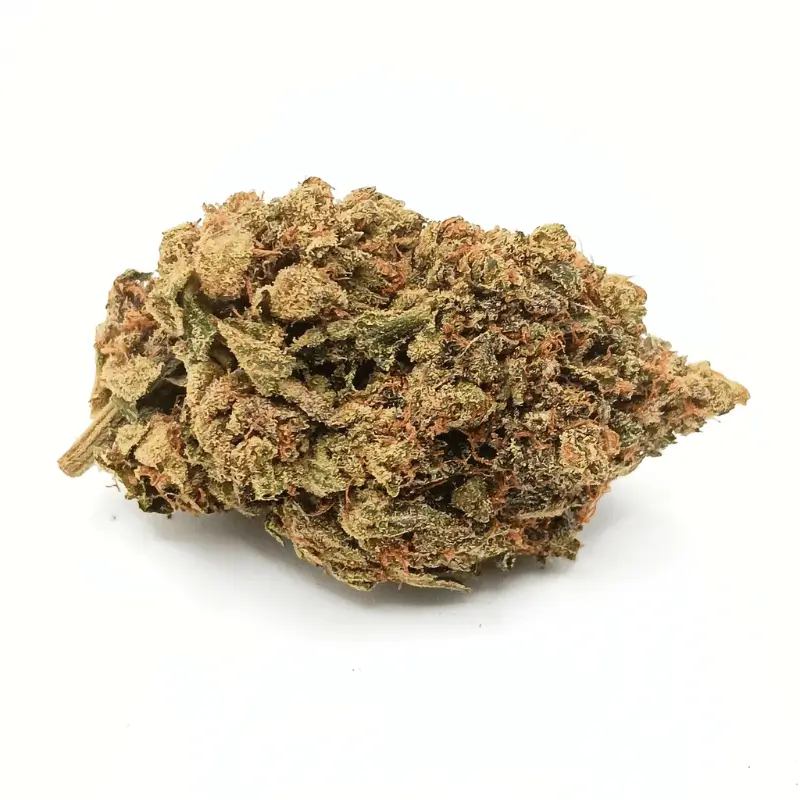 Northern Lights Strain 1 Northern Lights AA