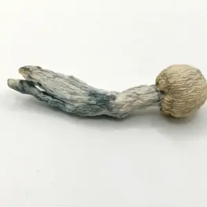 Smurf Magic Mushrooms