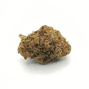 Blue Dream Haze AA | Sativa-Dominant Hybrid with Uplifting Berry Flavour